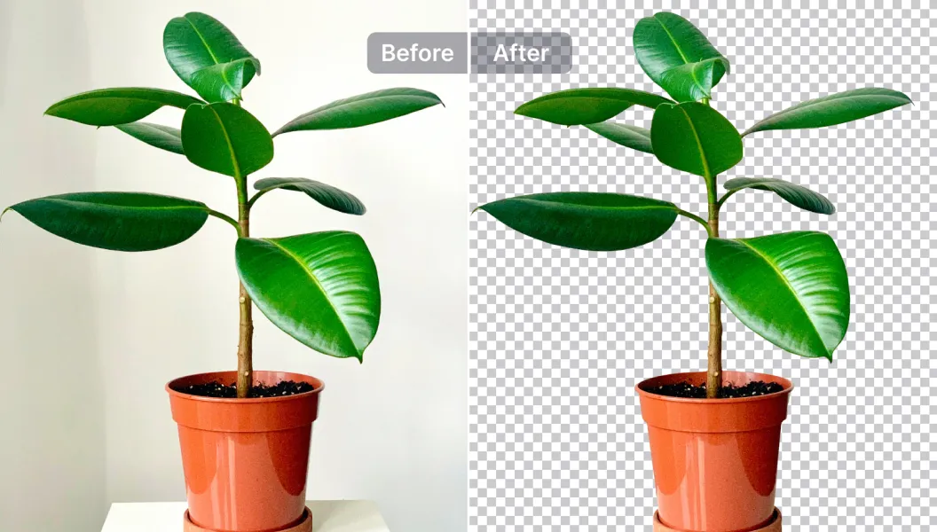 photorAI feature