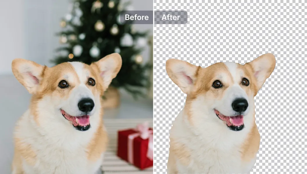 photorAI feature